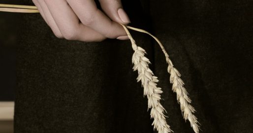 День пам’яті жертв голодоморів