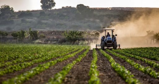 День працівників сільського господарства України