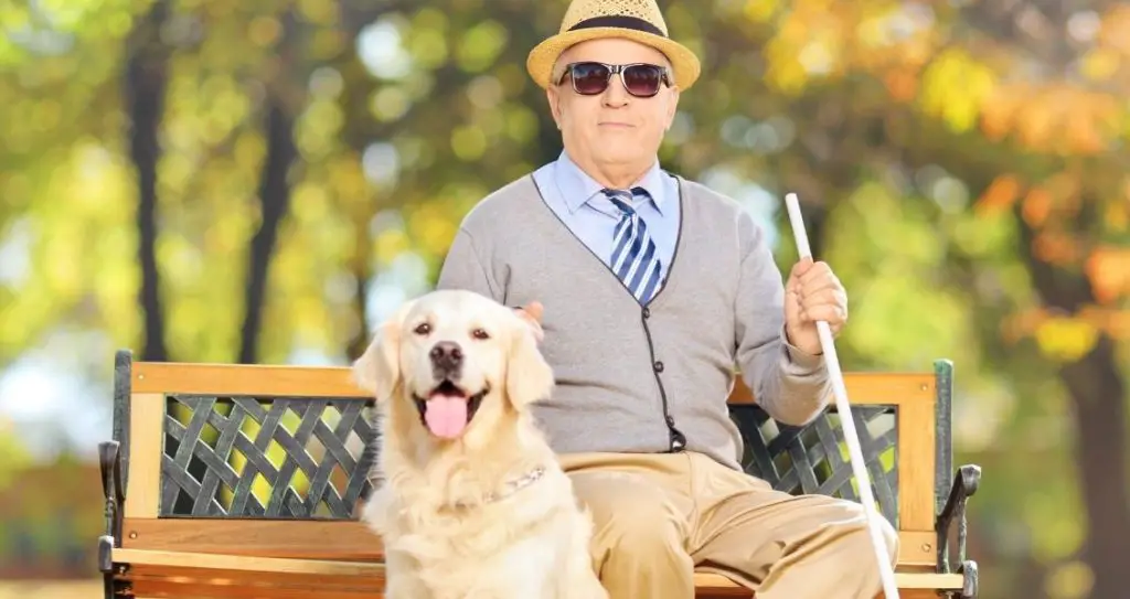 Міжнародний день сліпих