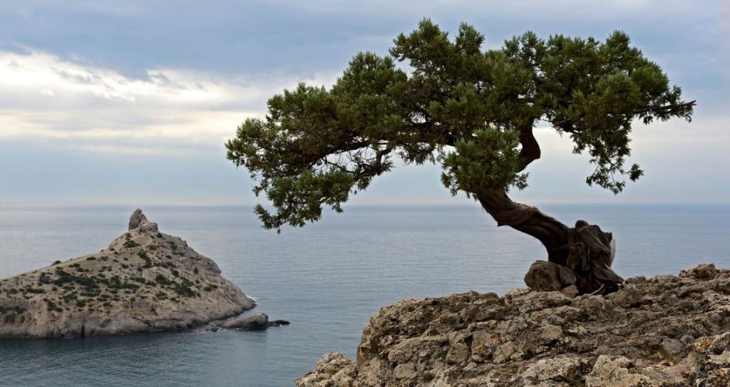 День АР Крим