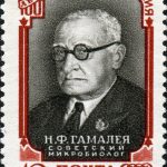 Микола Гамалія