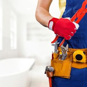 Всесвітній день сантехніка