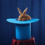 День фокусника або День диму і дзеркал