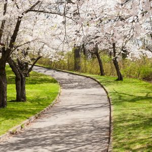 День прогулянки в парку 30 березня