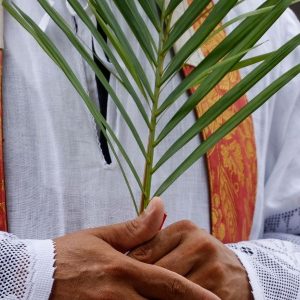 Католицька Пальмова неділя