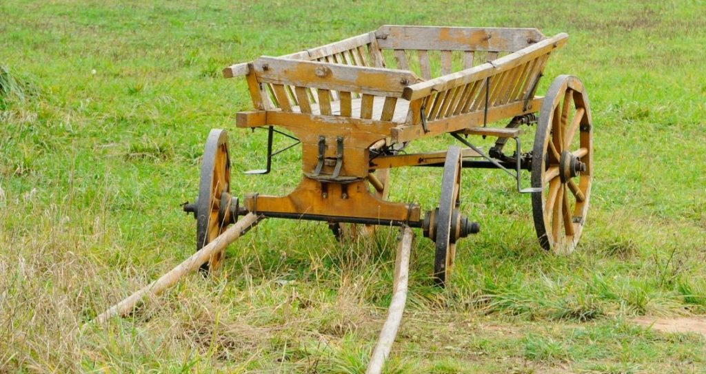 Саввин день