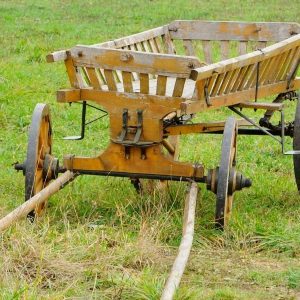 Саввин день