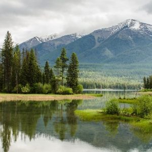 Український День навколишнього середовища (День довкілля)