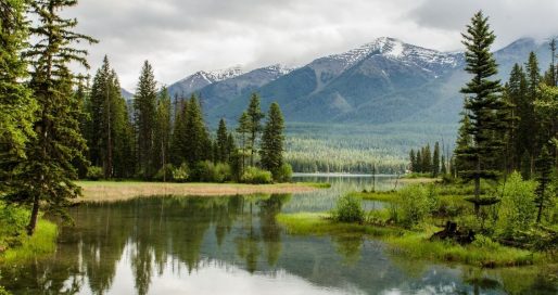 Український День навколишнього середовища (День довкілля)