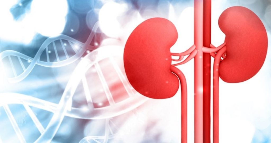 Всесвітній день нирки