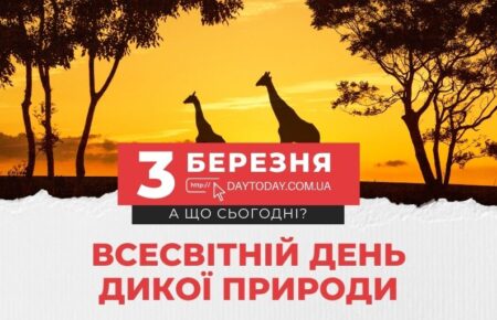 3 bereznia