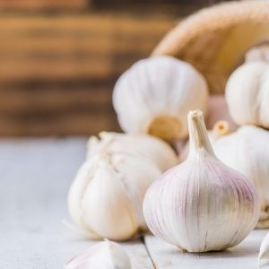 День часнику