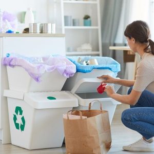 День чистої карми