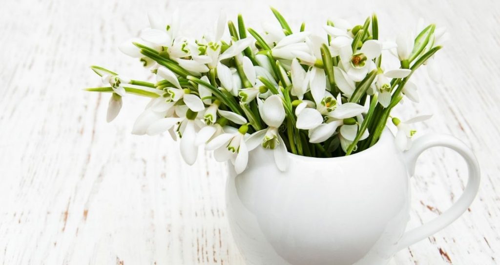 День проліска