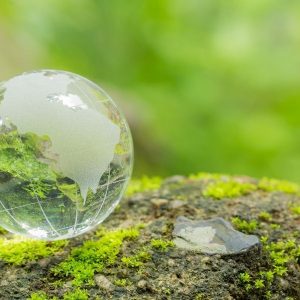 Міжнародний день Матері-Землі