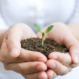 Міжнародний день подяки рослинам