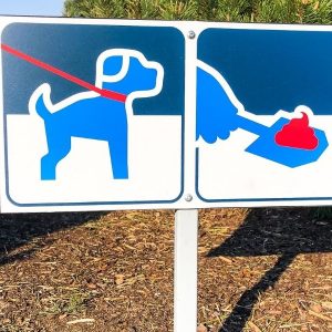 Міжнародний тиждень Pooper Scooper