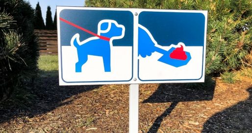 Міжнародний тиждень Pooper Scooper