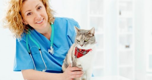 Всесвітній день ветеринара