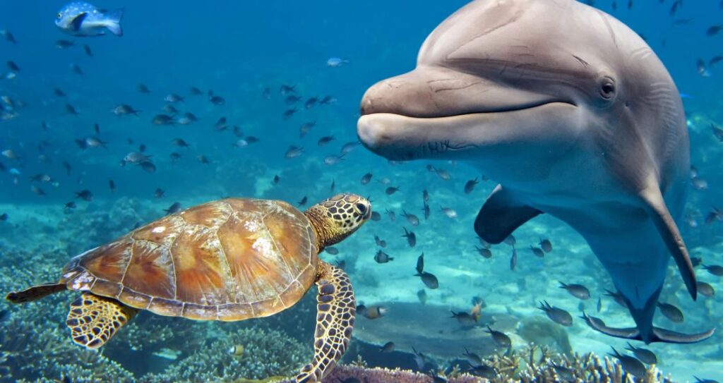 Всесвітній день водних тварин 3 квітня