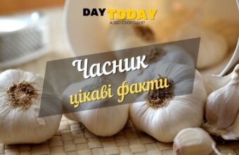 Часник - панацея від усіх хвороб? Цікаві факти про часник