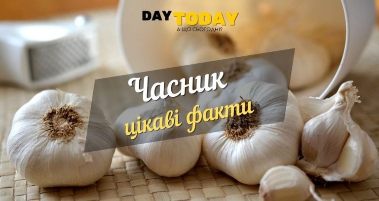 Часник - панацея від усіх хвороб? Цікаві факти про часник