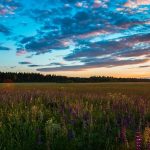 День степу в Україні