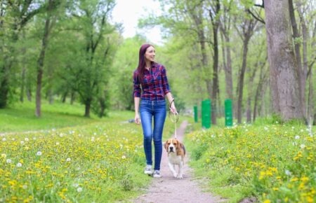 День власників домашніх тварин День незалежності власників домашніх тварин