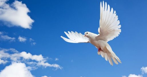 Світлий четвер