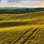 День меліоратора