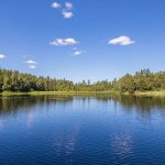 День працівників водного господарства