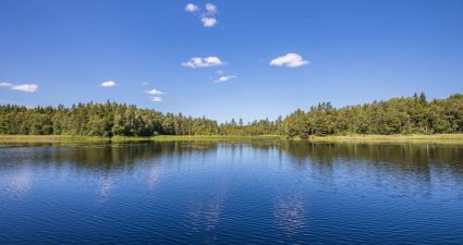 День працівників водного господарства