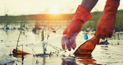 День очищення водойм
