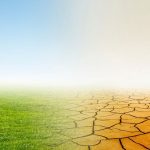 Всесвітній день боротьби з опустелюванням і посухою