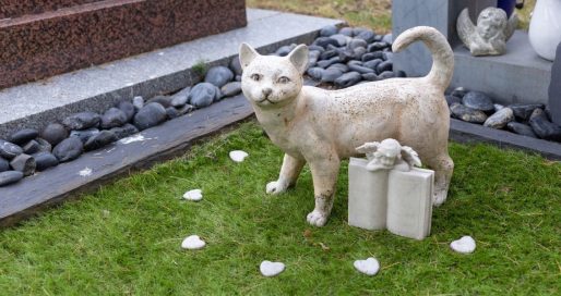 Всесвітній день пам’яті домашніх тварин