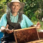 День пасічника України