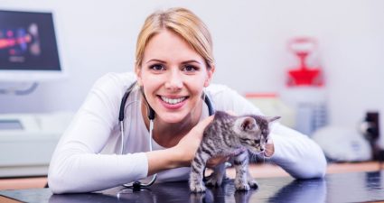 День працівників ветеринарної медицини