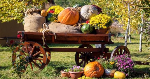 Свято Жнив картинка