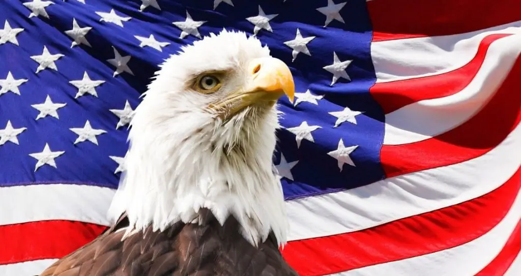 день незалежності сша