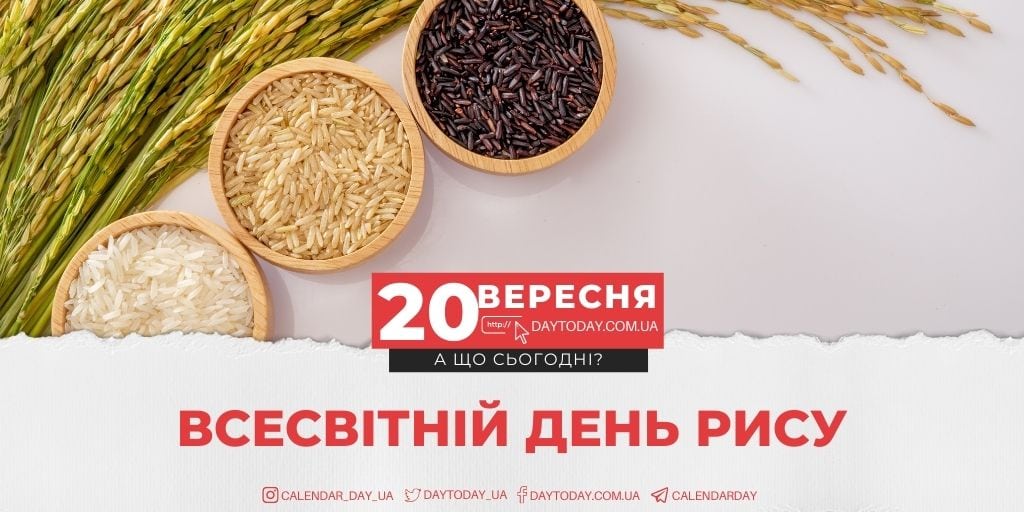 20 DAY TODAY
