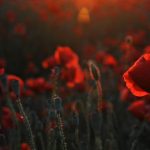 День закінчення Другої світової війни