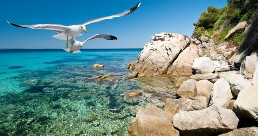 Всесвітній день моря