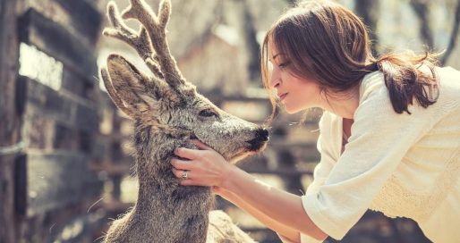 Тиждень захисту тварин