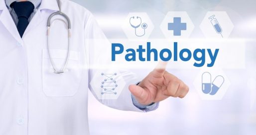 Міжнародний день патології