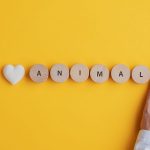 Міжнародний день акцій за прийняття Декларації прав тварин