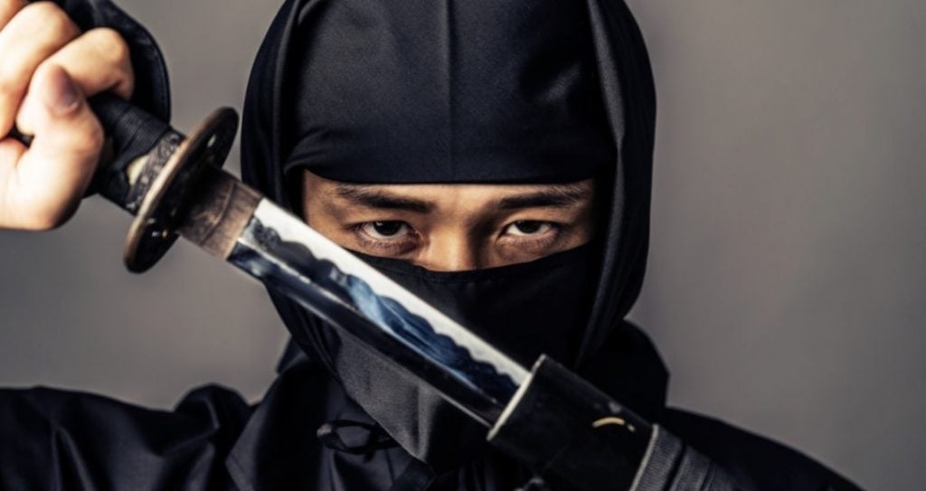 Міжнародний день ніндзя