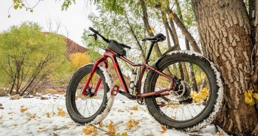 Всесвітній день фетбайку