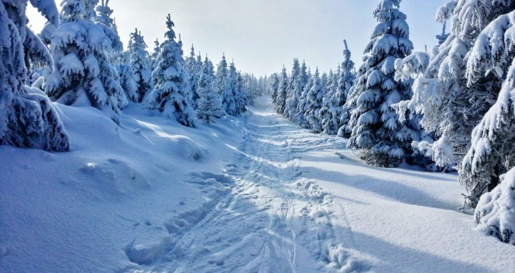 День пам’яті святого Федора Студита