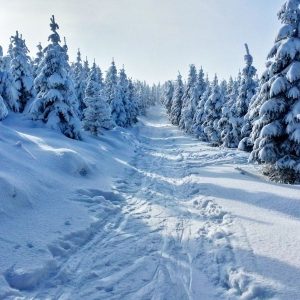 День пам’яті святого Федора Студита