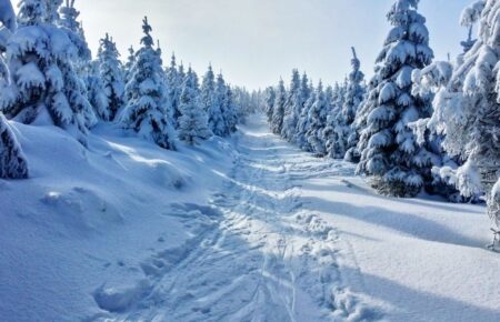 День пам’яті святого Федора Студита